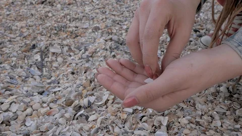 Shells in hands Stock-Footage 90194008