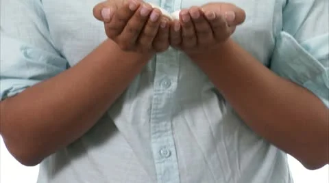 Shells in the hands of a woman, close-up Stock Footage 11286761