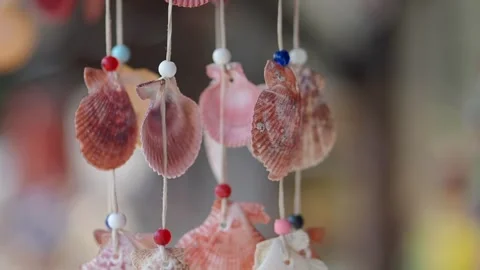 Shells hanging on strings in a market Video stock 340493721