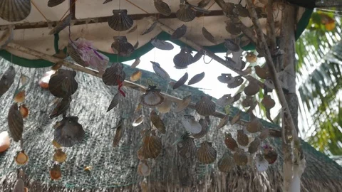 Shells hanging in a tropical area Stockbeeldmateriaal 127249693