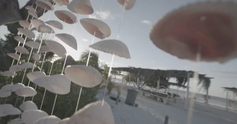 Shells in Holbox Mexico Stock Footage 240731634