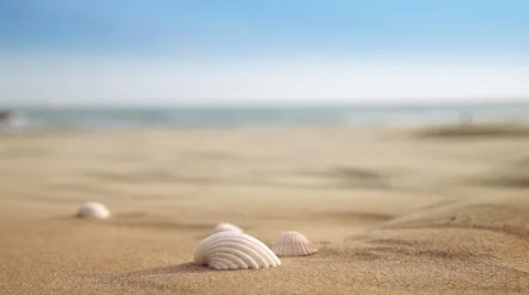 From Shells to Horizon Stock Footage 10842314