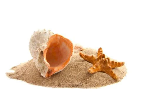 Shells island Stock Photos