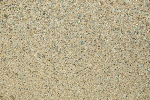 Shells of many types and sizes are found on our shelling beaches. at the sunset Stock Photos