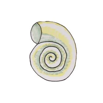Shells, mollusks Stock Illustration
