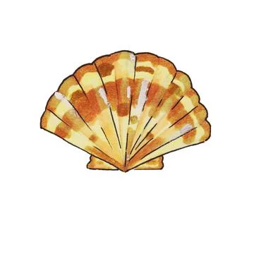 Shells, mollusks Stock Illustration