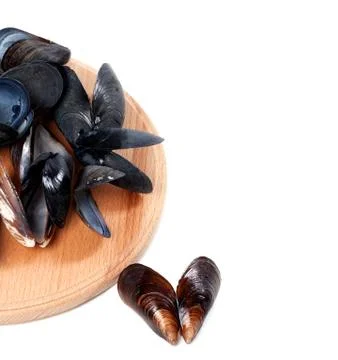 Shells of mussels on cutting board Stock Photos
