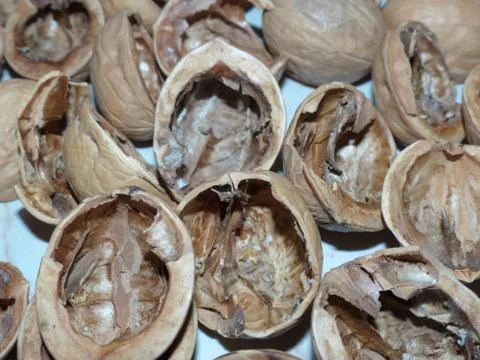 Shells from nuts. Walnut has not only original taste qualities Stock Photos