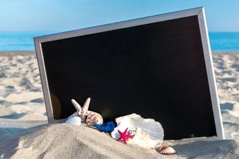Shells pattern. Globe, seashell, airplane and starfish near black desk on sea Foto stock