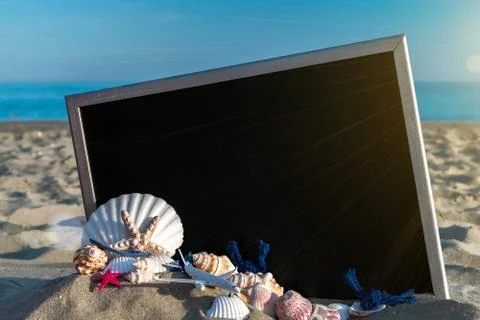 Shells pattern. Globe, seashell, airplane and starfish near black desk on sea Stock Photos