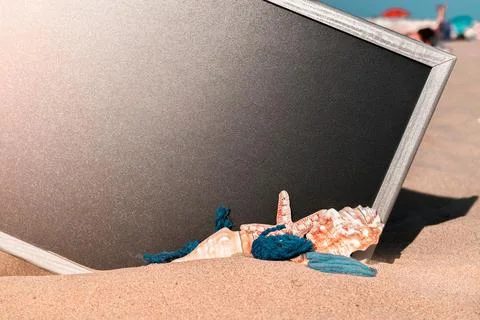 Shells pattern. Globe, seashell, airplane and starfish near black desk on sea Stock Photos