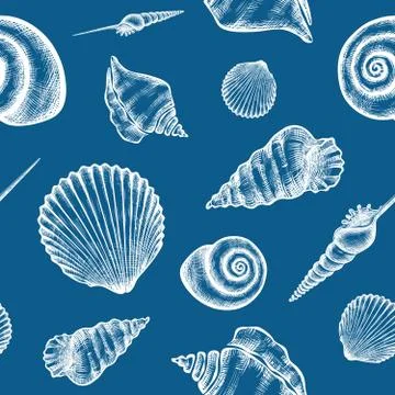 Shells pattern Stock Illustration
