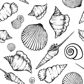 Shells pattern Illustrazione stock