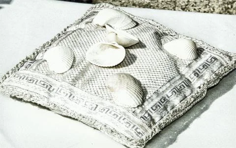 Shells 스톡 사진