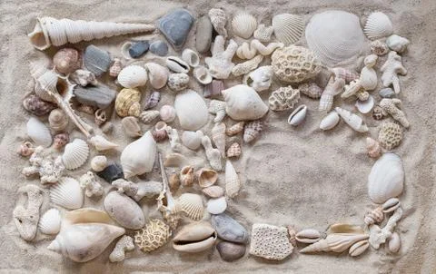 Shells Stock Photos