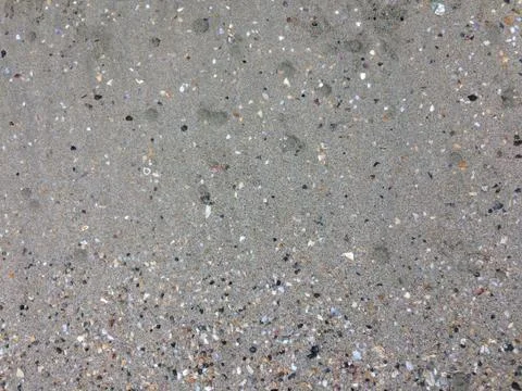 Shells in the sand on the beach background. Beach texture. Stock Photos