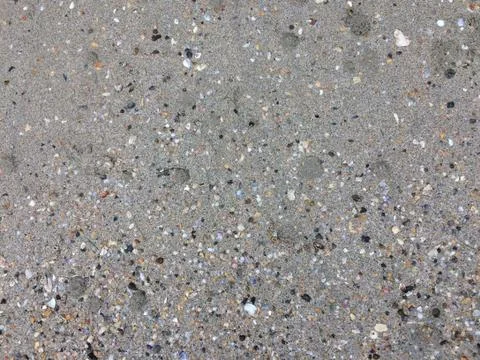 Shells in the sand on the beach background. Beach texture. Stock Photos