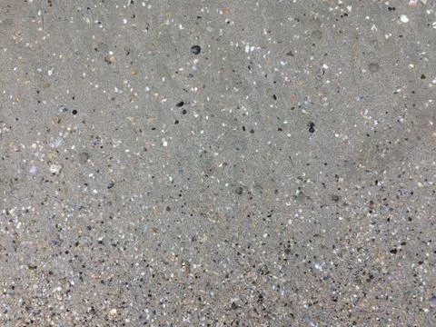 Shells in the sand on the beach background. Beach texture. Stock Photos