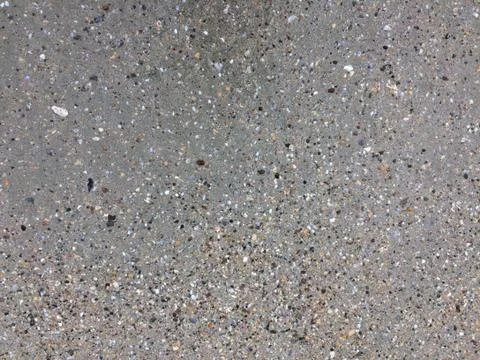 Shells in the sand on the beach background. Beach texture. Foto stock