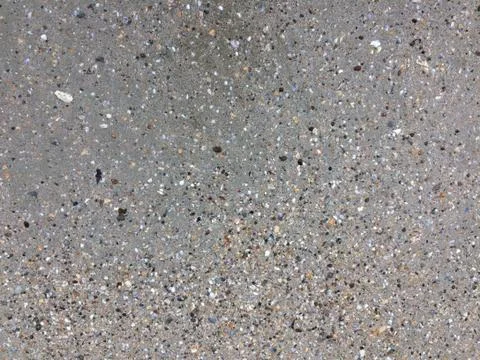 Shells in the sand on the beach background. Beach texture. Stock Photos