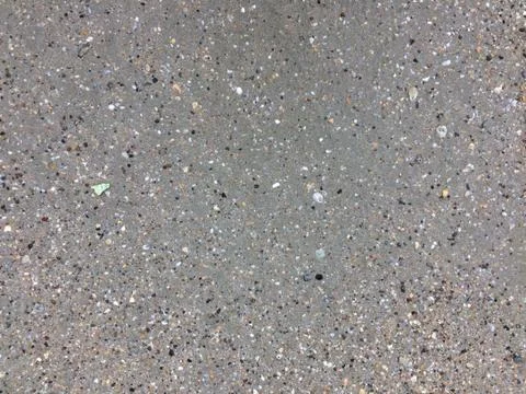 Shells in the sand on the beach background. Beach texture. Stock Photos