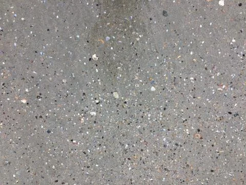 Shells in the sand on the beach background. Beach texture. Stock Photos