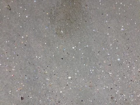 Shells in the sand on the beach background. Beach texture. Stock Photos