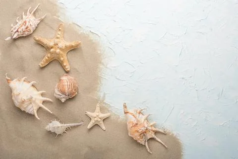 Shells in the sand on a blue texture, with an empty space for the inscription Stock Photos