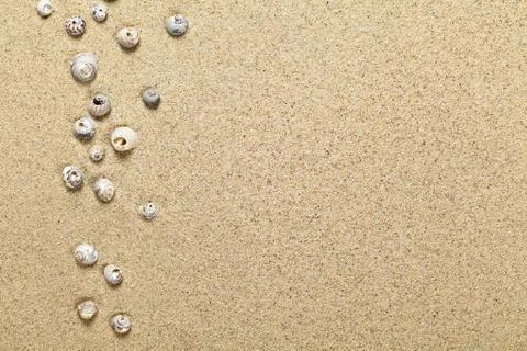 Shells on sand Stock Photos