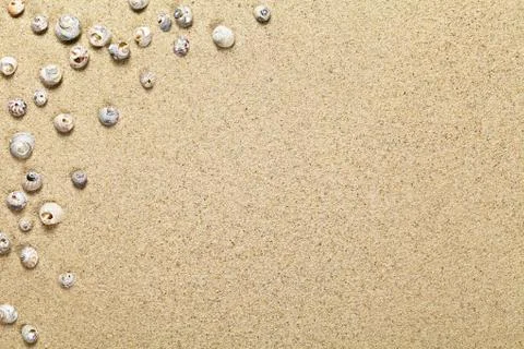 Shells on sand Stock Photos