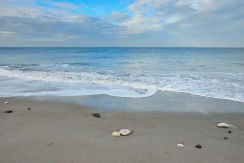 Shells on sandy beach with surf at low tide, Helgoland, Germany Foto stock