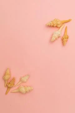 Shells scattered on a soft pink background Stock Photos