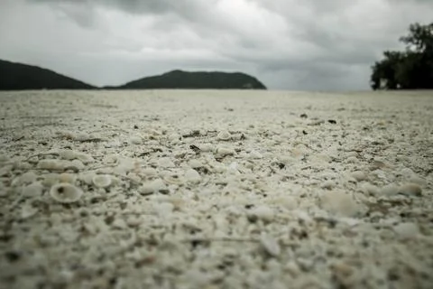 The shells on the sea shore Stock Photos