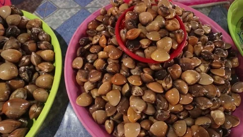 Shells at seafood market Stock Footage 133745193