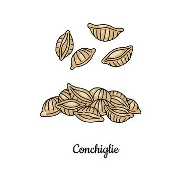 Shells shaped pasta conchiglie, hand drawn sketch, vector illustration isolated Illustrazione stock