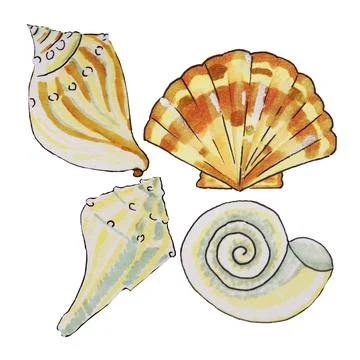 Shells, shellfish Illustrazione stock