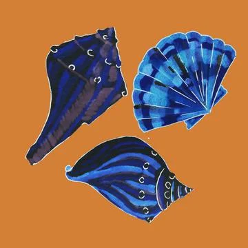 Shells, shellfish Stock Illustration