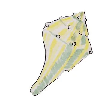 Shells, shellfish Stock Illustration