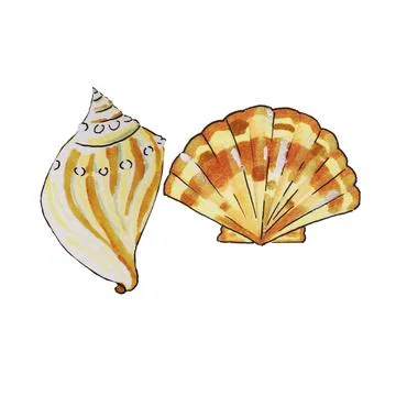Shells, shellfish Illustrazione stock