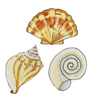 Shells, shellfish Stock Illustration