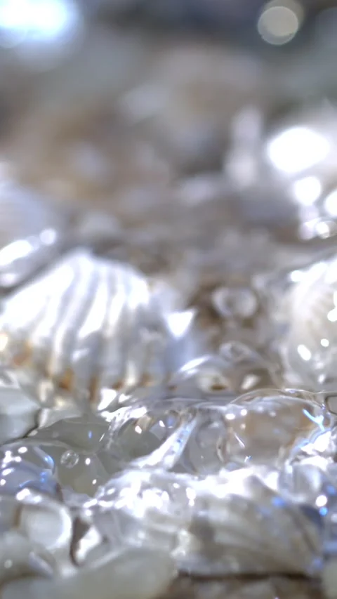 Shells on the shore in daylight under water with smooth sand and gentle waves Stock Footage 322791478
