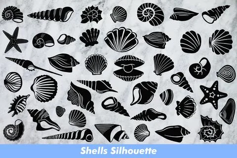 Shells Silhouette Stock Illustration
