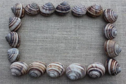 The shells of snails on a linen cloth Stock Photos