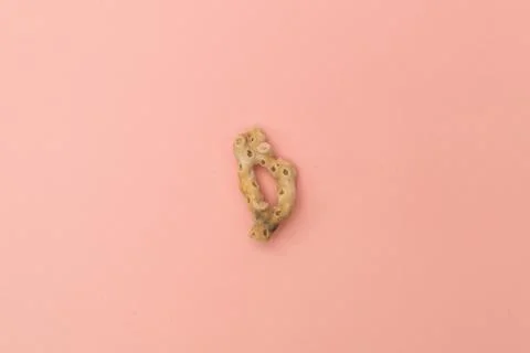 Shells on a soft pink background Stock Photos