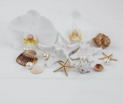 Shells, starfish and orchids Stock Photos