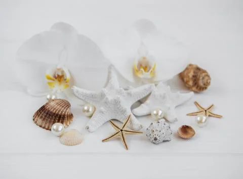 Shells, starfish and orchids Stock Photos