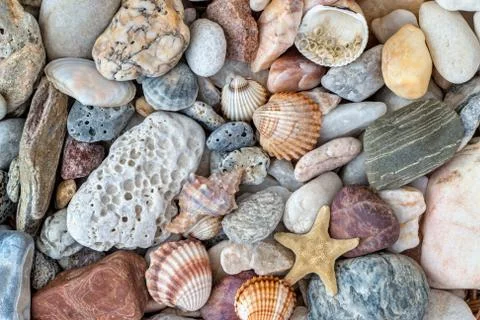 Shells, starfish and pebble stones Stock Photos