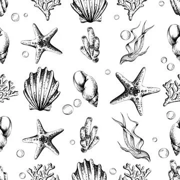 Shells, starfish, corals, algae, sea sponges and bubbles. Marine illustration of Illustrazione stock