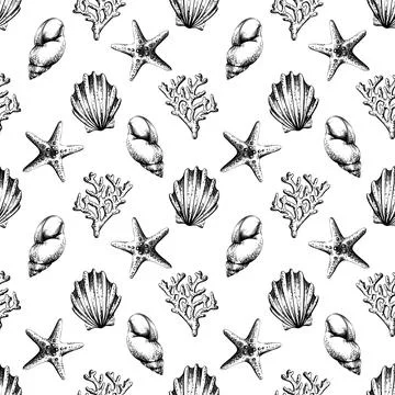 Shells, starfish, corals, algae, sea sponges and bubbles. Marine illustration of Illustrazione stock