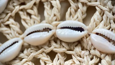 Shells On A Straw Bag Stock Footage 243983260